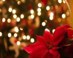 Natale a Pieve a Nievole dal 08 dicembre 2018 al 15 gennaio 2019 - Eventi
